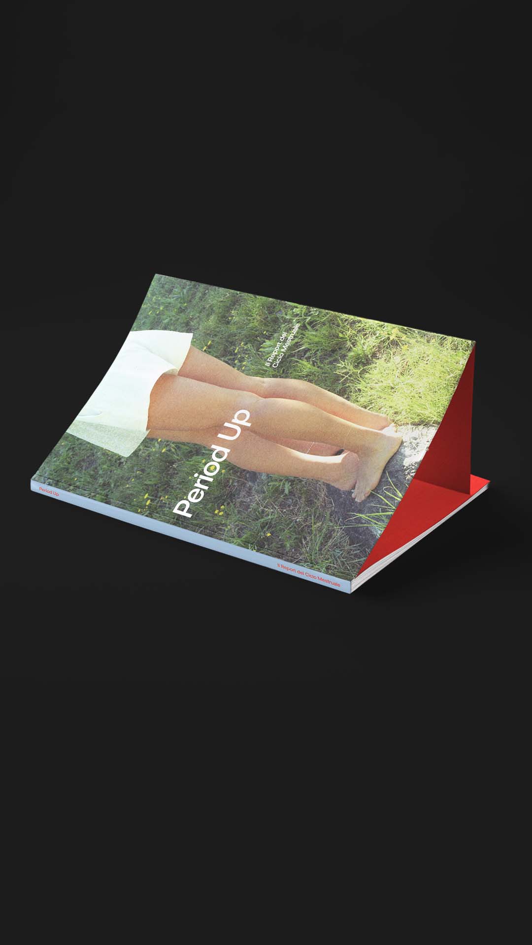 Studio But Maybe – Period Up Book